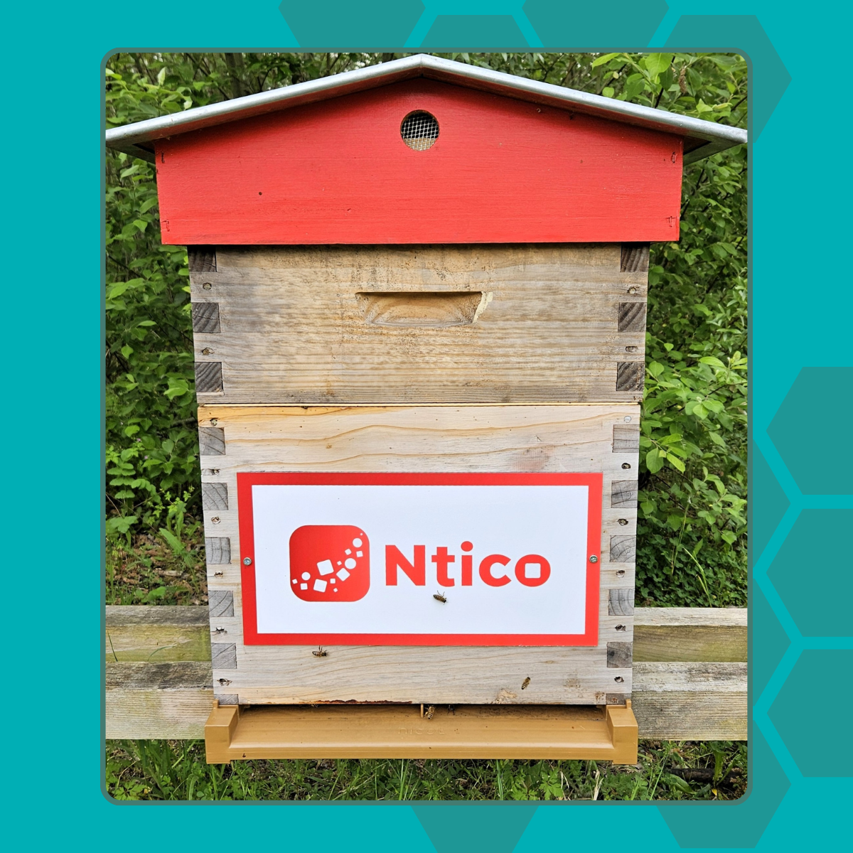Exemple de ruche parrainée par Ntico