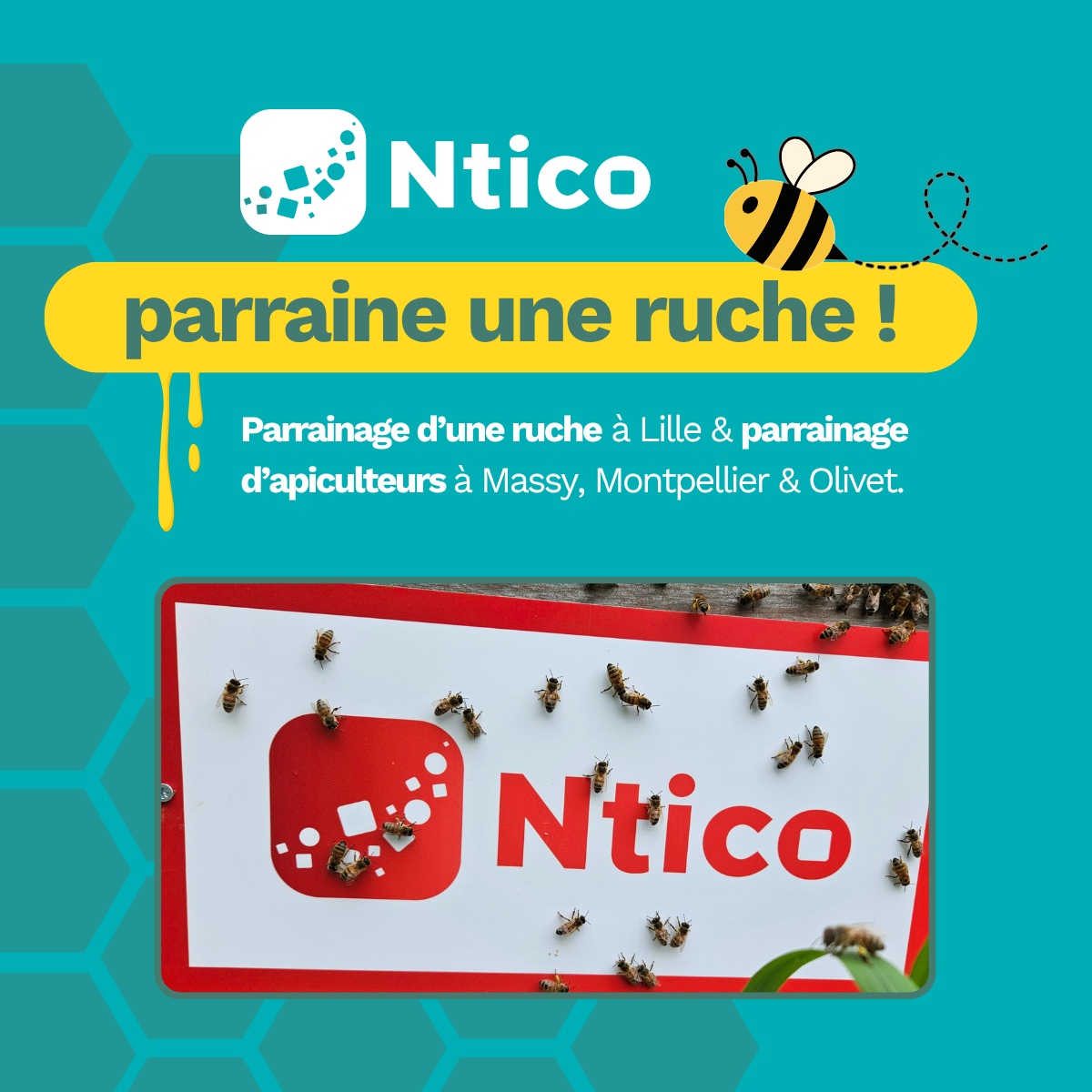 Parrainage de ruches — GreeNtico